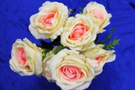 Букет розы айвори-розовые 7 голов арт. 138-081
