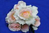 Букет розы бело-розовые 9 голов арт.138-095