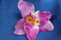 Орхидея сиреневая (головка) Мин. заказ от 10шт! арт. 137-027