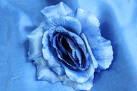 Роза синяя (головка) Мин. заказ от 10шт! арт. 137-050
