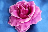 Роза темно-фиолетовая (головка) Мин. заказ от 10шт! арт. 137-057