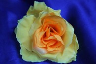 Роза желто-оранжевая (головка) Мин. заказ от 10шт! арт. 137-066