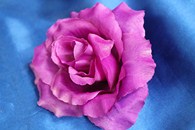 Роза фиолетовая (головка) Мин. заказ от 10шт! арт.137-067