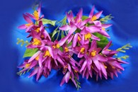 Букет цветы фиолетовые арт.138-118