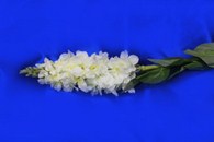 Ветка цветы белые арт. 138-126