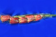 Ветка тюльпаны красно-желтые арт. 138-136