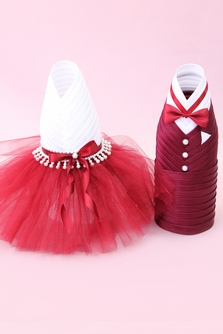 Украшение на шампанское (одежка) бордово-белая с фатиновой юбкой (любой цвет под заказ) арт.047-287