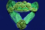 Свадебные украшения на машину, кольца и лента на капот с большими салатовыми цветами и салатовым фатином арт. 119-075
